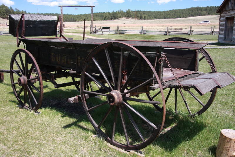 Colorado - Florissant fossil beds national monument (billede 17)