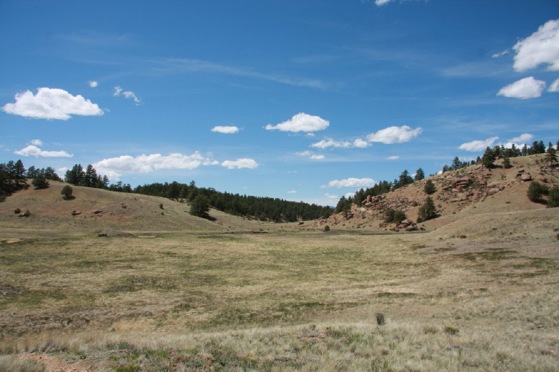 Colorado - Florissant fossil beds national monument (billede 19)