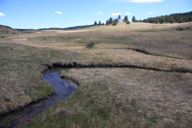 Colorado - Florissant fossil beds national monument (billede 21)