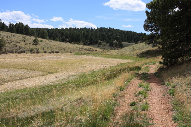 Colorado - Florissant fossil beds national monument (billede 26)