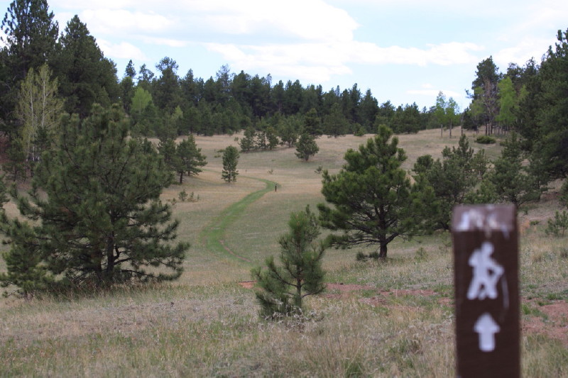 Colorado - Florissant fossil beds national monument (billede 36)