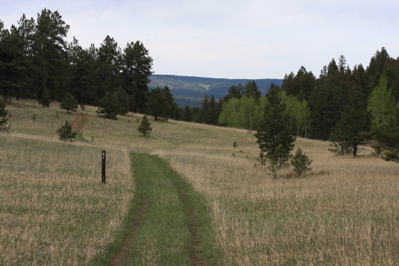 Colorado - Florissant fossil beds national monument (billede 37)