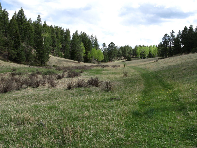 Colorado - Florissant fossil beds national monument (billede 44)