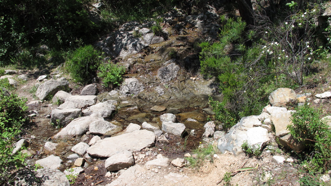 flottevandreture.dk-korsika-bastia-vandretur-30-corte-gorges-du-tavignano-til-broen-corte-06.JPG