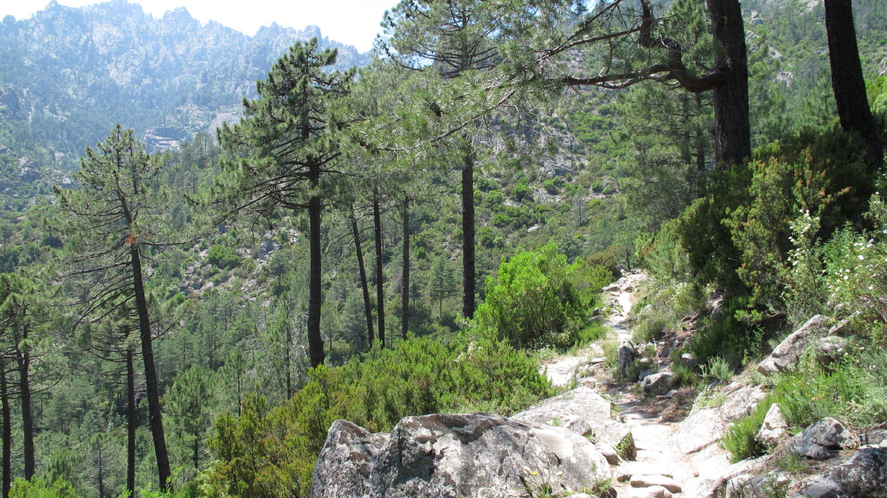 flottevandreture.dk-korsika-bastia-vandretur-30-corte-gorges-du-tavignano-til-broen-corte-07.JPG