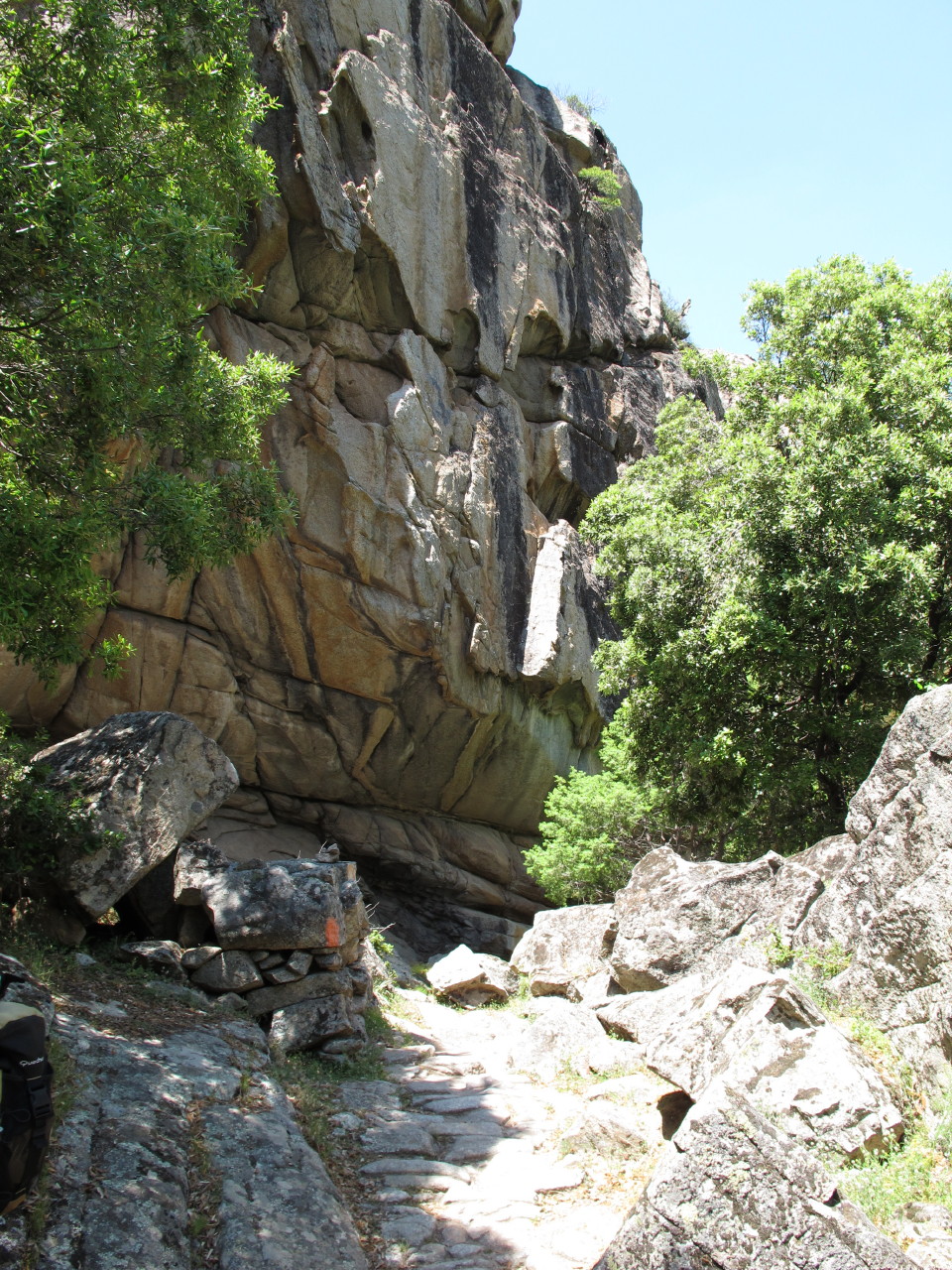 flottevandreture.dk-korsika-bastia-vandretur-30-corte-gorges-du-tavignano-til-broen-corte-13.JPG