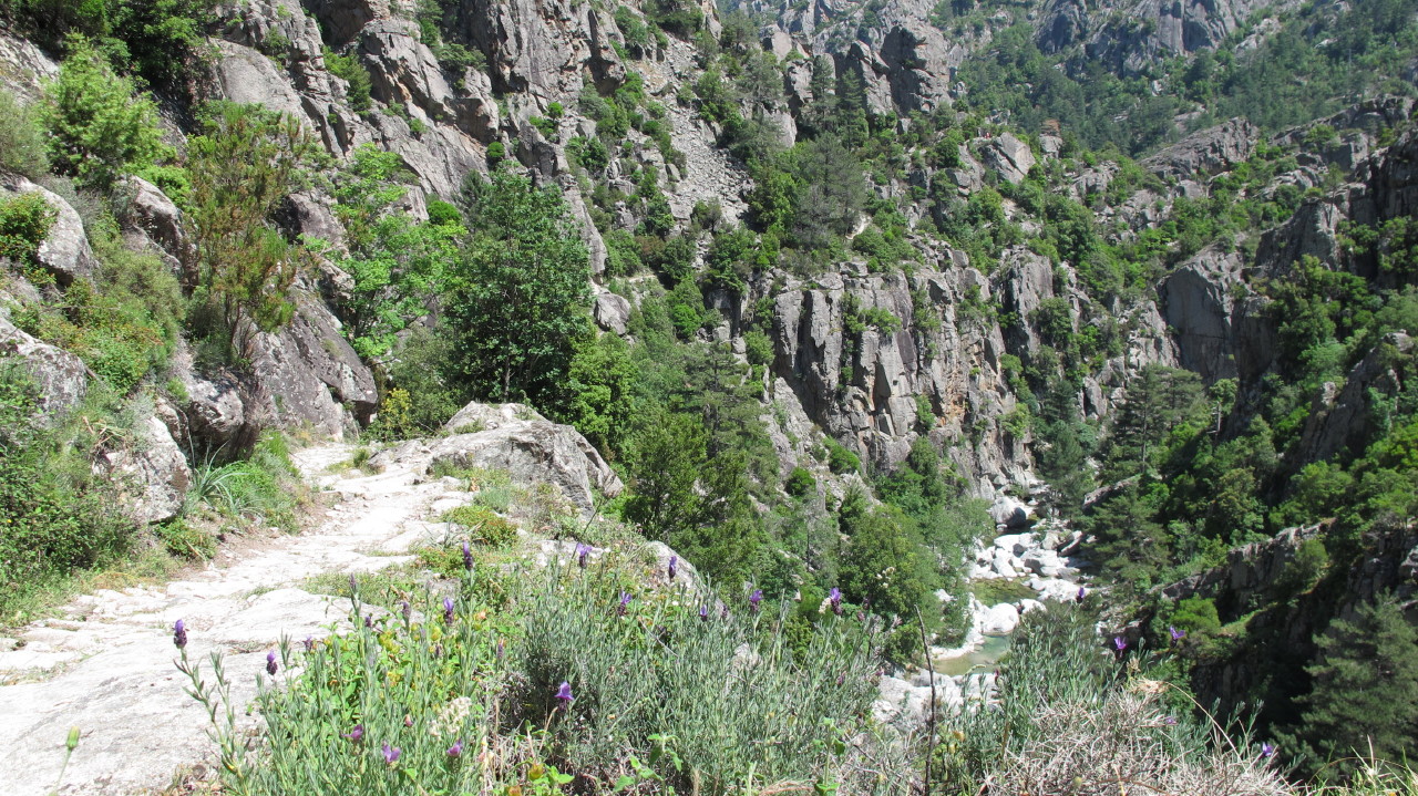 flottevandreture.dk-korsika-bastia-vandretur-30-corte-gorges-du-tavignano-til-broen-corte-14.JPG
