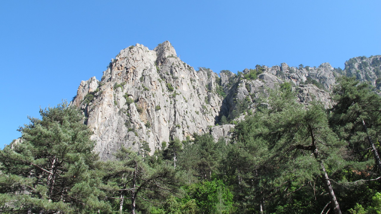 flottevandreture.dk-korsika-bastia-vandretur-30-corte-gorges-du-tavignano-til-broen-corte-18.JPG