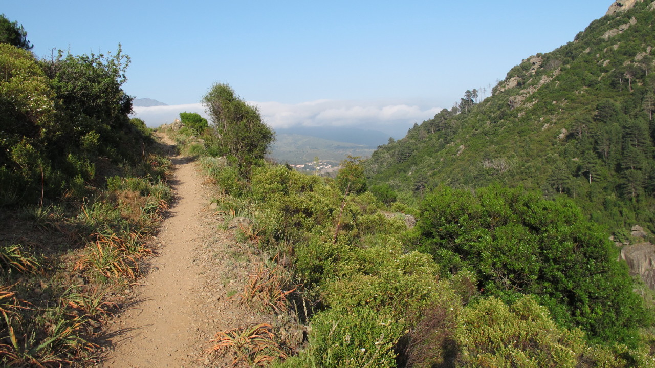 flottevandreture.dk-korsika-bastia-vandretur-30-corte-gorges-du-tavignano-til-broen-corte-22.JPG