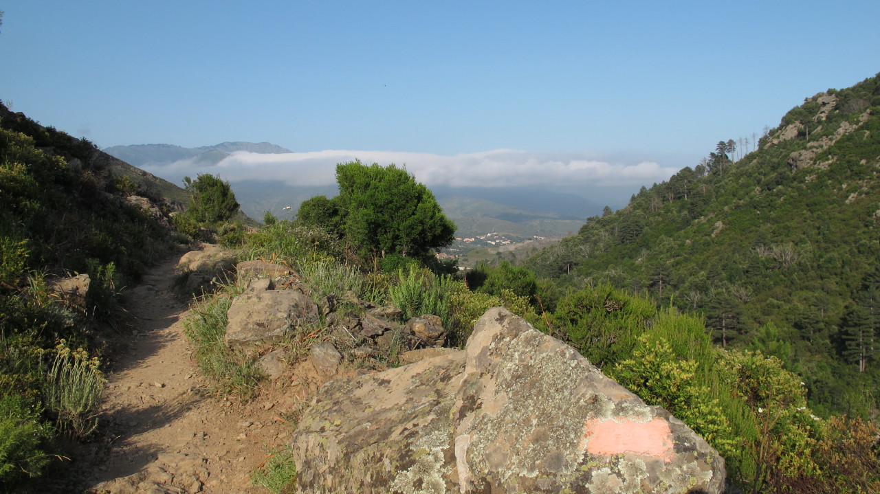flottevandreture.dk-korsika-bastia-vandretur-30-corte-gorges-du-tavignano-til-broen-corte-23.JPG